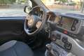 Fiat Panda Panda III 2021 1.0 firefly hybrid s Blanc - thumbnail 12