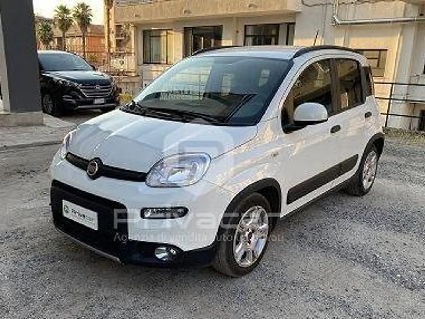 Fiat Panda Panda III 2021 1.0 firefly hybrid s Bianco - 1