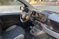 Fiat Panda Panda III 2021 1.0 firefly hybrid s Blanc - thumbnail 11