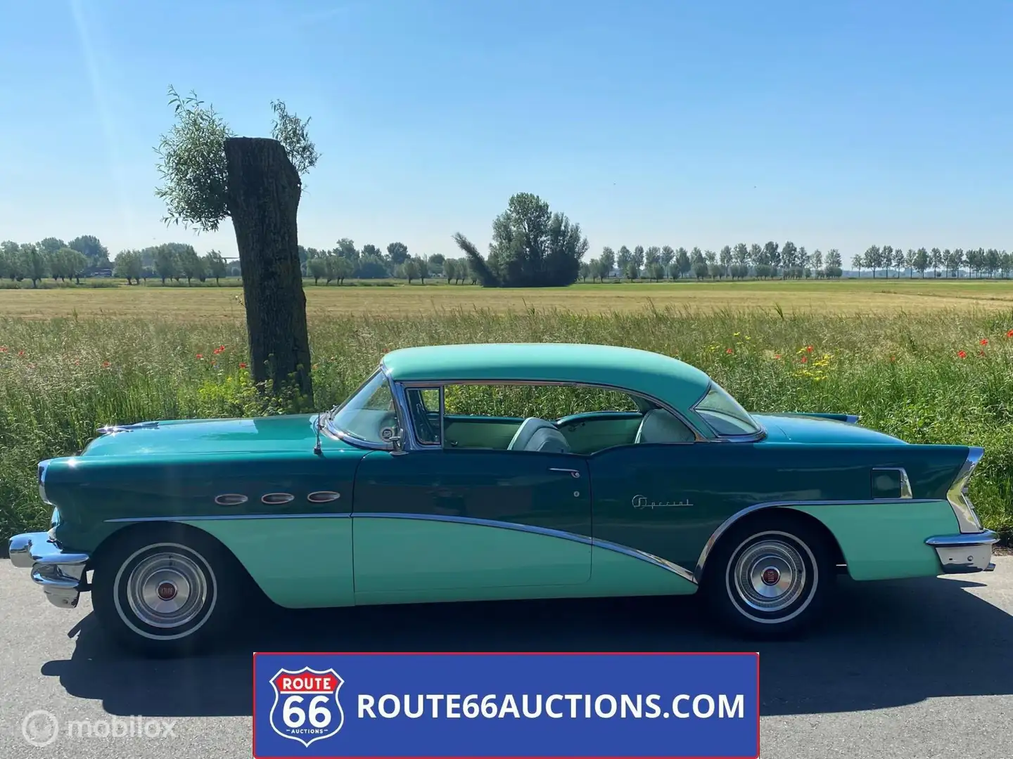 Buick Special 1956 | Route 66 auctions Bleu - 2