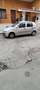 Fiat Punto 5p 1.2 Verve - thumbnail 1