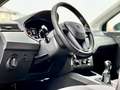 SEAT Ibiza 1.0 75 CV 5 porte Style Grigio - thumbnail 12