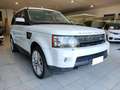 Land Rover Range Rover Sport 3.0 SDV6 HSE Aut. Pelle Navi Vetri Osc. Neopatent. Wit - thumbnail 4