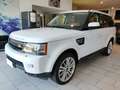 Land Rover Range Rover Sport 3.0 SDV6 HSE Aut. Pelle Navi Vetri Osc. Neopatent. Wit - thumbnail 3