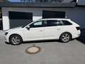 Skoda Superb Kombi 1,6 TDI Ambition Weiß - thumbnail 4