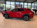 Lexus UX 250h Style Edition AppleCarPlay, Kamera, LED Roşu - thumbnail 15