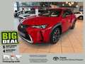 Lexus UX 250h Style Edition AppleCarPlay, Kamera, LED Roşu - thumbnail 1