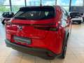 Lexus UX 250h Style Edition AppleCarPlay, Kamera, LED Roşu - thumbnail 4