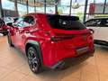 Lexus UX 250h Style Edition AppleCarPlay, Kamera, LED Roşu - thumbnail 5