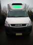 Iveco 65C60E4 - thumbnail 11
