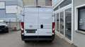 Opel Movano 2.2 D L2H1 2WD verstärkt Edition 1.HD KLIMA PDC Weiß - thumbnail 7