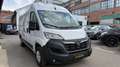 Opel Movano 2.2 D L2H1 2WD verstärkt Edition 1.HD KLIMA PDC Weiß - thumbnail 3
