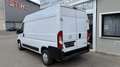 Opel Movano 2.2 D L2H1 2WD verstärkt Edition 1.HD KLIMA PDC Weiß - thumbnail 6