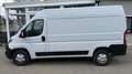 Opel Movano 2.2 D L2H1 2WD verstärkt Edition 1.HD KLIMA PDC Weiß - thumbnail 4