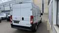 Opel Movano 2.2 D L2H1 2WD verstärkt Edition 1.HD KLIMA PDC Weiß - thumbnail 5