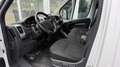 Opel Movano 2.2 D L2H1 2WD verstärkt Edition 1.HD KLIMA PDC Weiß - thumbnail 11
