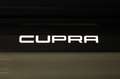 CUPRA Leon 1.5 eTSI PANO SENNH MATRIX DYNAMIC EDGE AHK Gris - thumbnail 12