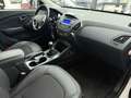 Hyundai iX35 1.6 FIFA World Cup Edition, 1.Hd., Leder Wit - thumbnail 13