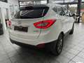 Hyundai iX35 1.6 FIFA World Cup Edition, 1.Hd., Leder Wit - thumbnail 5