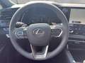 Lexus RX 350h Business 250PS Allrad Grau - thumbnail 9