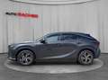 Lexus RX 350h Business 250PS Allrad Grau - thumbnail 3