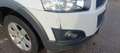 Chevrolet Captiva Captiva 2.2VCDI LT FWD LT Blanco - thumbnail 24