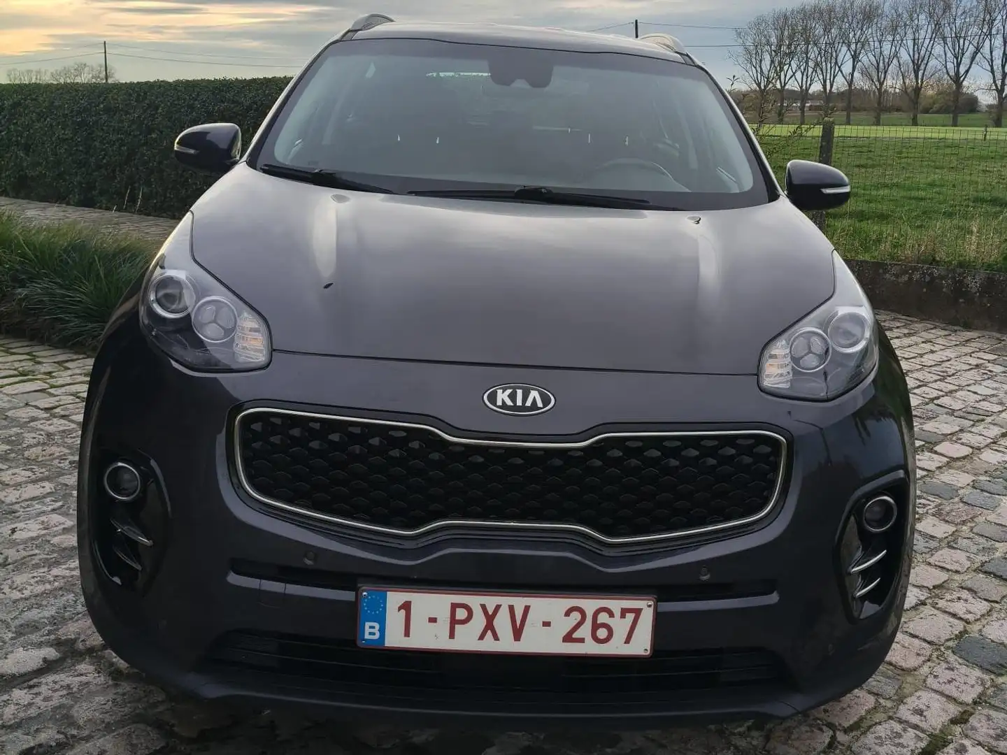 Kia Sportage Sportage 1.6 GDI 2WD Edition 7 Gris - 2
