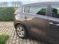 Kia Sportage Sportage 1.6 GDI 2WD Edition 7 Gris - thumbnail 11
