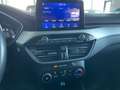 Ford Kuga Kuga III 2020 1.5 ecoblue Connect 2wd 120cv auto Blu/Azzurro - thumbnail 14