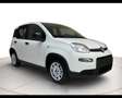 Fiat Panda 1.0 Hybrid 70cv Bianco - thumbnail 5