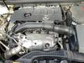 Mercedes-Benz A 250 AMG Line Night Paket HUD Panodach Navi Digitales C Blanc - thumbnail 19