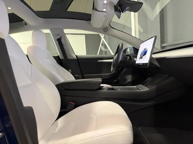 Tesla Model 3 view 29