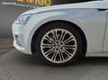 Audi A5 2.0 40 TFSI 190 HYBRID MHEV DESIGN S-TRONIC BVA Bianco - thumbnail 43