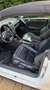 Volkswagen Golf Cabriolet Cabrio GTI Weiß - thumbnail 13