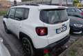 Jeep Renegade 1.6 Mjt 105 CV Business Sport Utility AUTOVETTUR Bianco - thumbnail 5