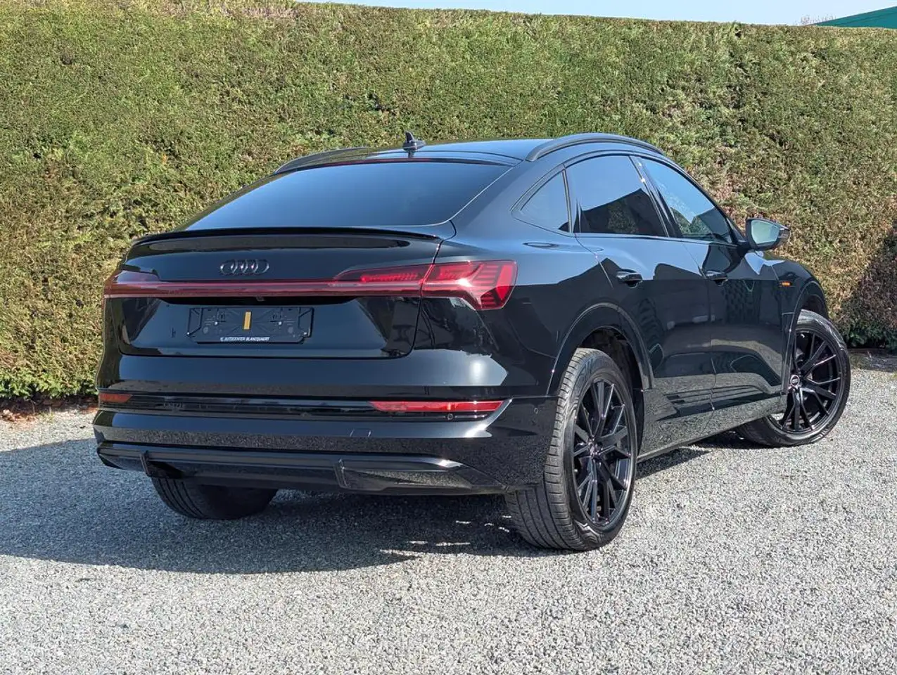 Audi Q8 (Q8)e-tron 2x s-line- gekoelde zetels B&O, миниатюра 3
