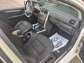 Mercedes-Benz B 180 Benzina Executive ( MANUALE ) Bianco - thumbnail 7
