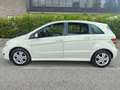 Mercedes-Benz B 180 Benzina Executive ( MANUALE ) Bianco - thumbnail 12