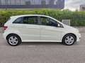 Mercedes-Benz B 180 Benzina Executive ( MANUALE ) Bianco - thumbnail 15