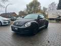 Volkswagen Beetle Lim. SHZ/PDC/Tempomat/Klimaauto./Scheckh. Negro - thumbnail 8