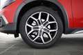 Fiat Tipo 1.5 Hybrid DCT 5 porte Red FARI FULL LED,RETROCAME Rouge - thumbnail 14
