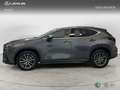 Lexus NX 350h 2WD EXECUTIVE EXECUTIVE Grau - thumbnail 3