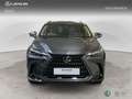 Lexus NX 350h 2WD EXECUTIVE EXECUTIVE Grau - thumbnail 5