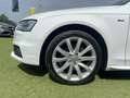 Audi A4 Avant 2.0 TDI 177CV s-line exterior/r"18/AUTOMATI Blanc - thumbnail 4