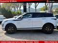 Land Rover Range Rover Evoque II D180 R-DYNAMIC HSE BVA Weiß - thumbnail 4
