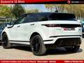 Land Rover Range Rover Evoque II D180 R-DYNAMIC HSE BVA Weiß - thumbnail 7