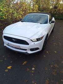 Mustang Cabrio 2.3 Eco Boost