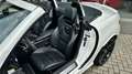 Mercedes-Benz SLK 55 AMG - R172 - 422 PS - Sauger - 1. Hand - TOP Bianco - thumbnail 13