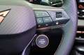 CUPRA Terramar 2.0 4Drive VZ Pano 20 Zoll AHK 5.J.Gar. Vert - thumbnail 14