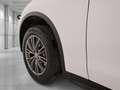 Alfa Romeo Stelvio 2.0 t Super Q4 200cv auto my19 Weiß - thumbnail 13